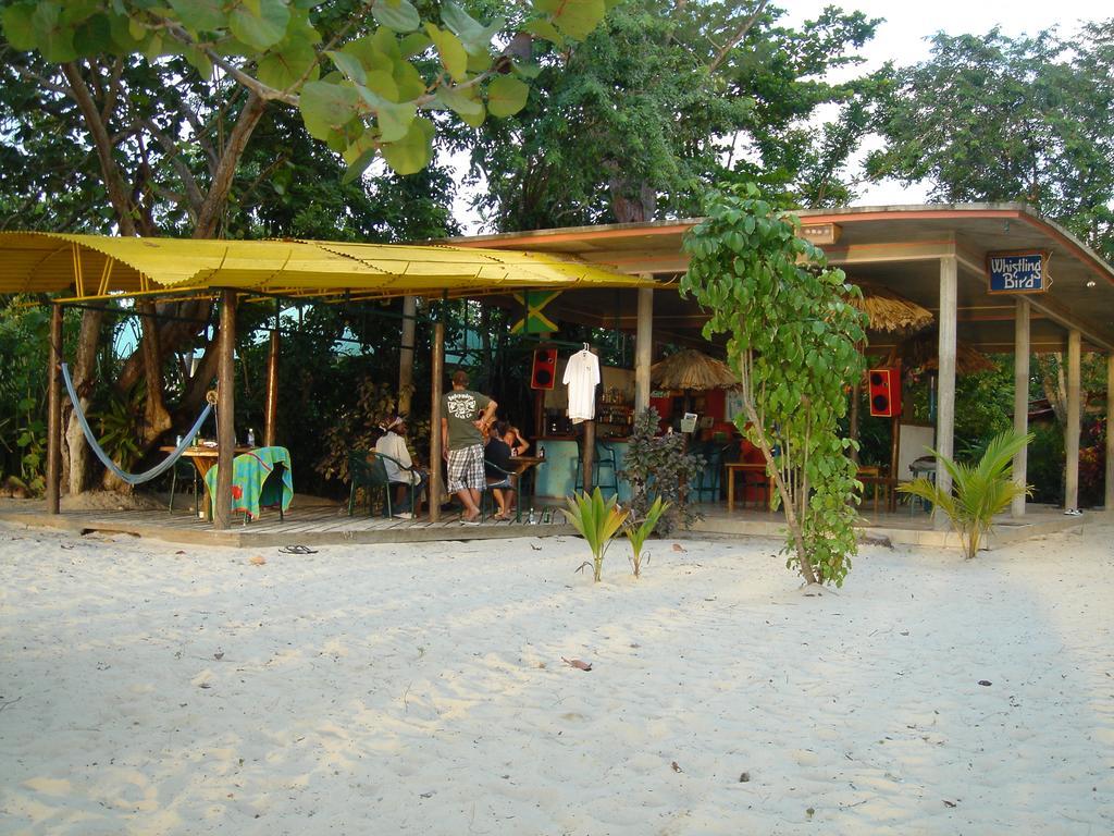 Whistling Bird Hotel Negril Exterior photo