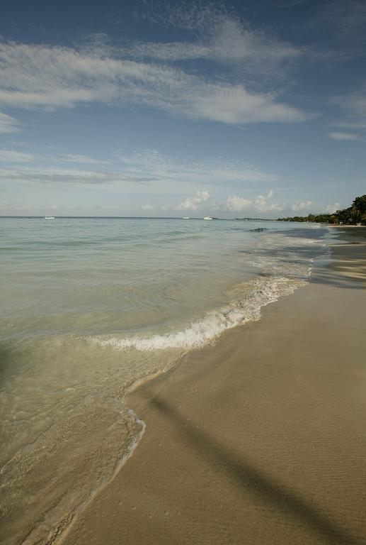 Whistling Bird Hotel Negril Exterior photo